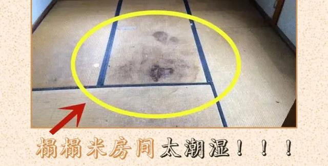 ���׷��䳱ʪ��ʵ����ԭ��